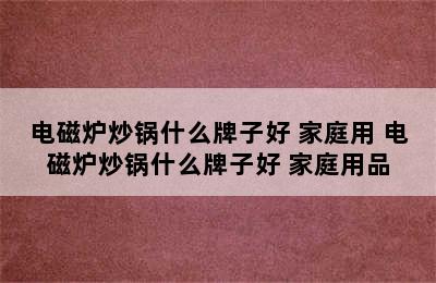 电磁炉炒锅什么牌子好 家庭用 电磁炉炒锅什么牌子好 家庭用品